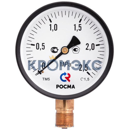 Манометр ТМ-510Р.00 радиальный Дк100мм 0-0,4 МПа М20х1,5 Росма 00000006842