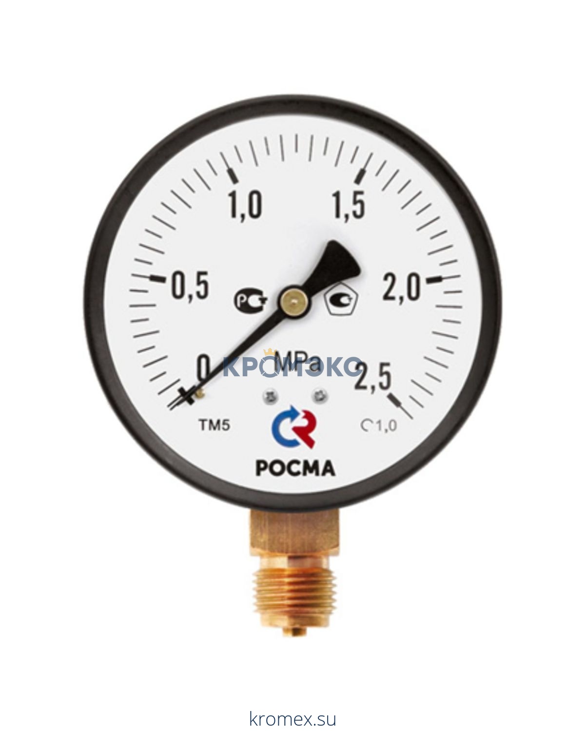 Манометр ТМ-310Р.00 радиальный Дк63мм 0-2,5 МПа G1/4" Росма 00000006701