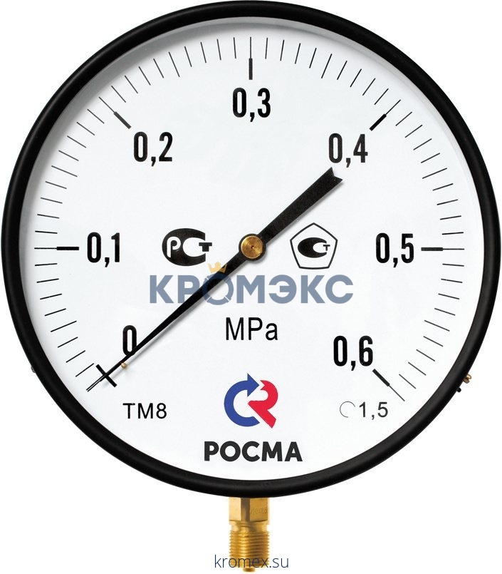 Манометр ТМ-810Р.00 радиальный Дк250мм 0-1,6 МПа М20х1,5 Росма 00000009032