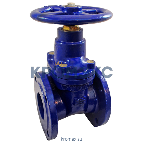 Задвижка чугун аналог МЗВ обрезиненный клин Ду 300 Ру10 фл Завод им Гаджиева