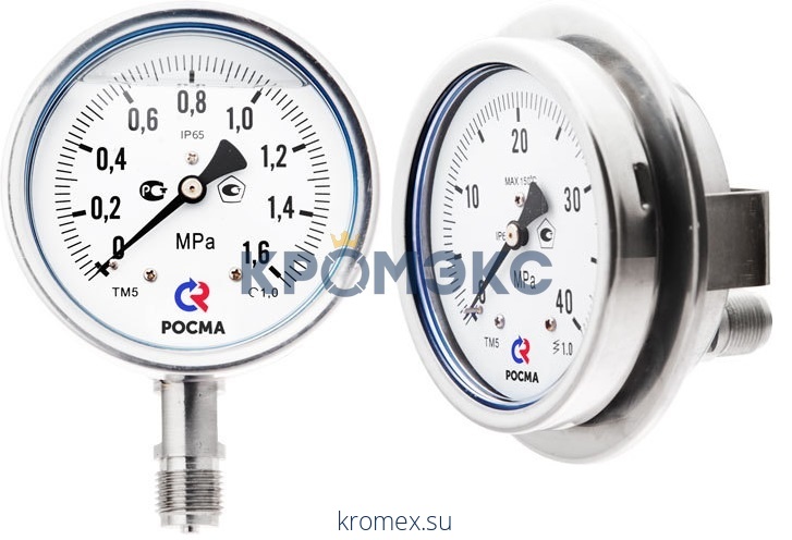 Манометр ТМ-521Р.00 радиальный Дк100мм 0-1,0 МПа G1/2" Росма 00000001081