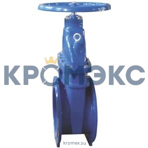 Задвижка чугун R55FLY МЗВГ обрезиненный клин Ду 65 Ру16 до +100 фл Giacomini R55FLY006