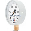 Манометр ТМ-510Р.00 (М2) радиальный Дк100мм 0-0,25 МПа М20х1,5 Росма 00000010517