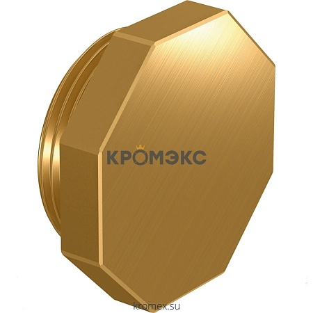 Заглушка латунь 1" НР для коллектора Апогей 330001 Заглушка латунь 1" НР для коллектора Апогей 330001