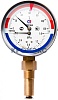 Термоманометр ТМТБ-41Р.3 радиальный Дк100 1,0МПа L=100мм G1/2" 120С Росма 00000002373