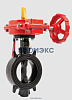 Затвор дисковый поворотный чугун BFV-250 Ду 80 Ру16 межфл с редуктором диск чугун манжета EPDM с 2-мя конц выкл TYCO